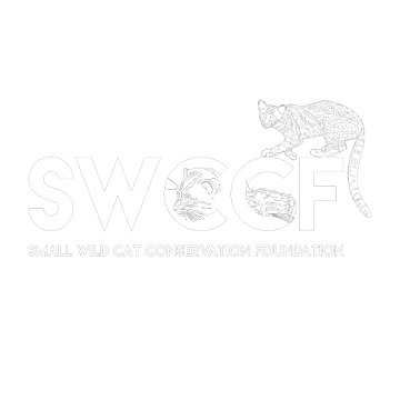 SWCCF